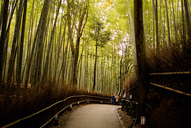 Arashiyama Bamboo Forest E-Biking Tour - Starting in central Kyoto at 1:00 pm