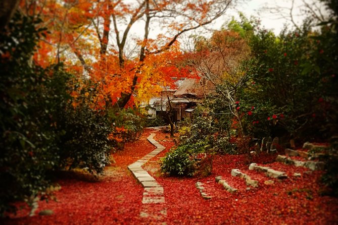 Arashiyama Bamboo Forest & Hidden Gems Bike Tour (Early Bird) - Two hours through Arashiyama’s quieter roads