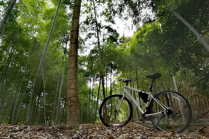 Arashiyama Bamboo Forest & Hidden Gems Bike Tour (Early Bird) - Is $106.12 a fair price?
