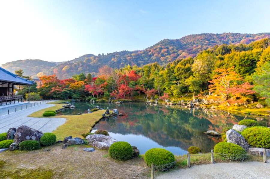 Arashiyama Bamboo, Temple, Monkeys, or Secret Sake Brewery - Option A or Option B: choose your kind of afternoon