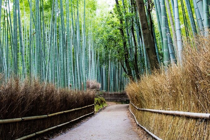 Arashiyama from Kyoto: Private & Personalized with a Local Guide - Monkey Park Iwatayama is fun, but take the hill seriously