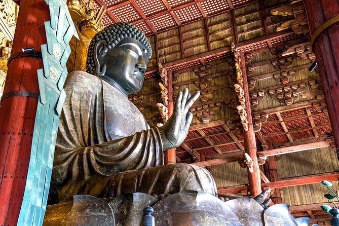 Arashiyama & Nara Highlights: One-Day Private Tour Adventure - Arashiyama bamboo forest and Nonomiya Shrine