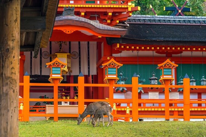Arashiyama & Nara Highlights: One-Day Private Tour Adventure - Todaiji and the Great Buddha Hall