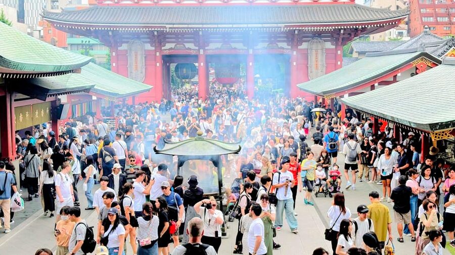 Awesome Private Tour: Tsukiji, Asakusa, Shinjuku, Shibuya - Key things to know before booking