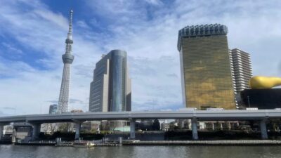 Awesome Private Tour: Tsukiji, Asakusa, Shinjuku, Shibuya
