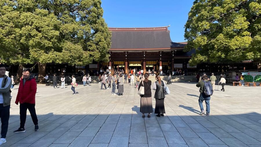 Awesome Private Tour: Tsukiji, Asakusa, Shinjuku, Shibuya - Akihabara and Ueno serve different interests