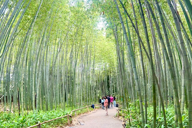Bamboo Grove Temple and Garden Views Tour - Why this Arashiyama tour works