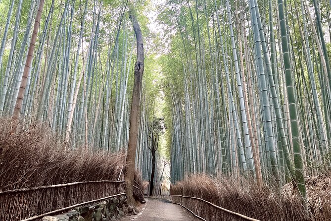 Bamboo Grove Temple and Garden Views Tour - The bamboo grove is famous for good reason