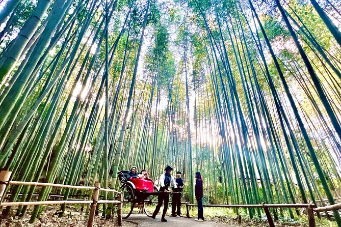 Bamboo Grove Temple and Garden Views Tour - Kimono Forest and Togetsukyo Bridge set the tone
