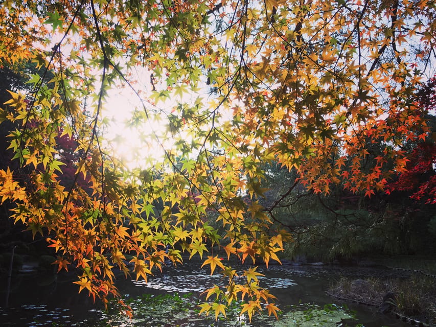 Best of Kyoto: Ginkakuji & Path of Philosophy E-Bike Tour - Key points to know before booking