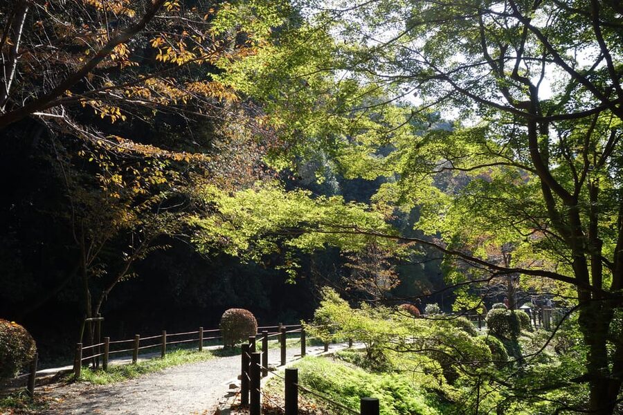 Best of Kyoto: Ginkakuji & Path of Philosophy E-Bike Tour - Starting from Kyoto Bike Rentals