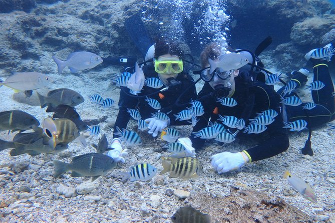 Blue Cave Area Experience Diving!Free feeding & photo images Chinese guide available!1 group with a dedicated instructor - Photos, fish food, and extra charges