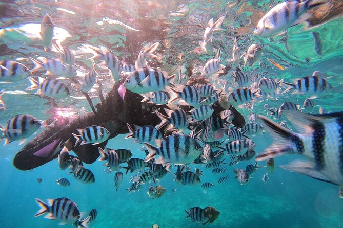Blue Cave Private Snorkeling with Photoshoot - Who should choose this outing
