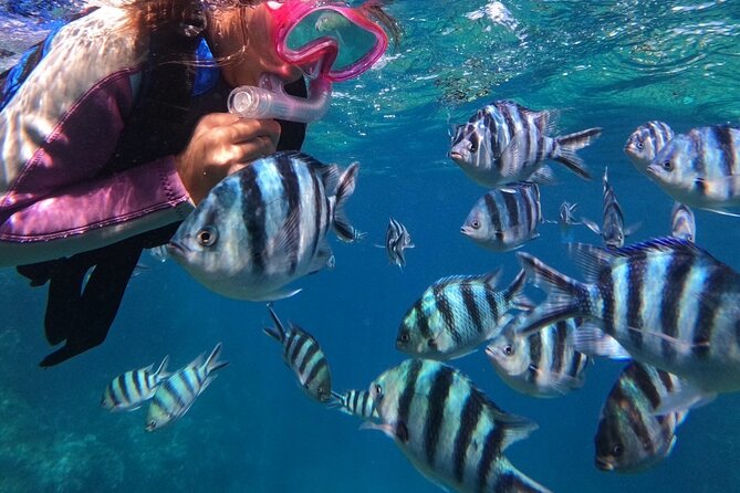 Blue Cave Private Snorkeling with Photoshoot - Why beginners may feel at ease