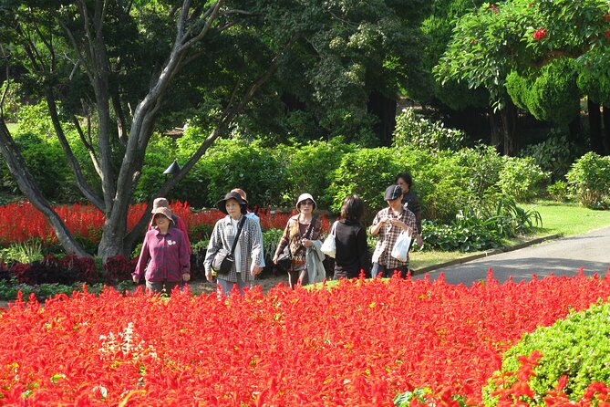 Colors of Japan, Fukuoka Nokonoshima Island Park & Wagyu BBQ - Key points to know