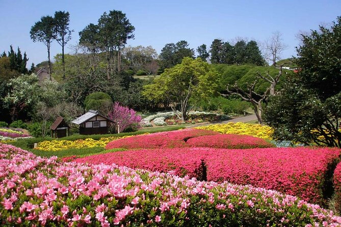 Colors of Japan, Fukuoka Nokonoshima Island Park & Wagyu BBQ - Pickup from Fukuoka and the ride to the ferry