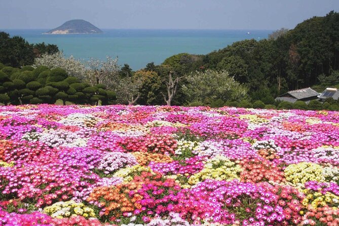 Colors of Japan, Fukuoka Nokonoshima Island Park & Wagyu BBQ - Entering Nokonoshima Island Park