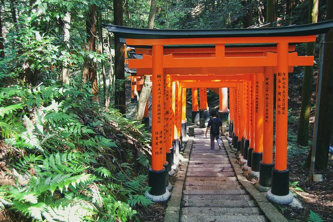Crowd-Free Kyoto: Fushimi Inari, Nijo Castle & Kinkaku-ji - The value of a $91.96 private tour