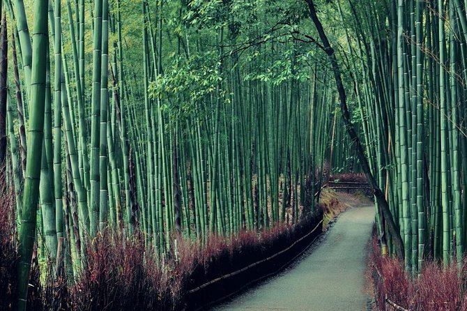 Cruise Stop-Over: Private Custom Day trip to Kyoto from Kobe Port - Choosing a Kyoto plan that fits your group