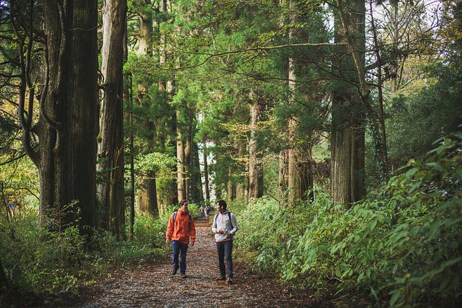 Custom Private Tour in Hakone with a Certified Local Guide - A private way to see Hakone without chasing a bus