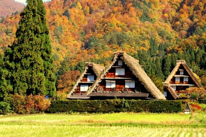 Day Trip for Shirakawago ,Takayama & gujo hachiman from Nagoya - Gujo Hachiman: a one-hour taste of the water town