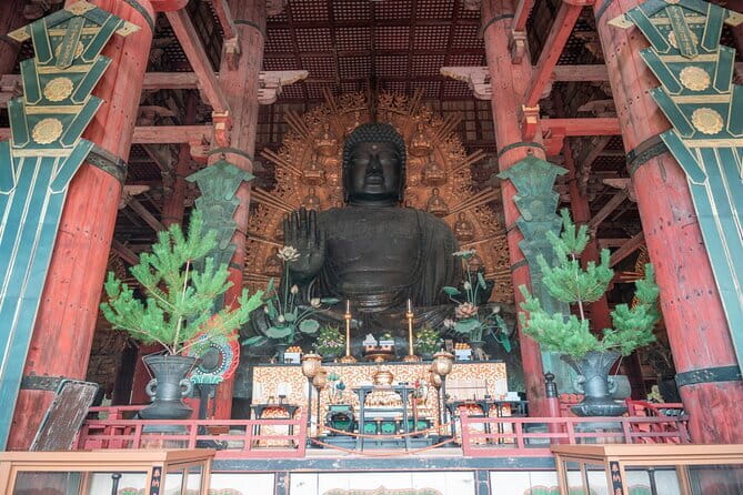 Discover Ancient Nara: Private Car Tour from Kyoto or Osaka - Why a private Nara day makes sense
