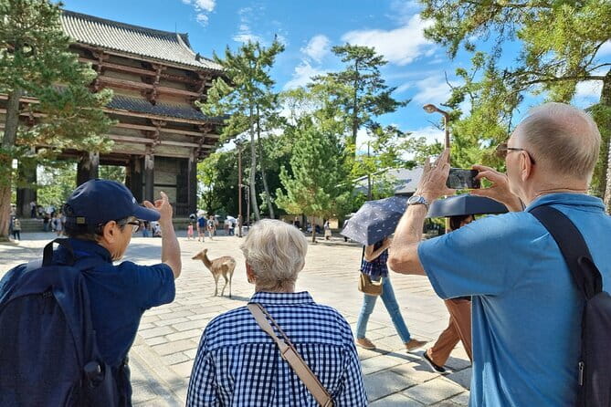 Discover Ancient Nara: Private Car Tour from Kyoto or Osaka - Lunch and old-town streets in Naramachi