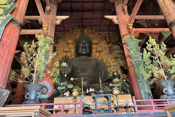 Discover Ancient Nara: Private Car Tour from Kyoto or Osaka - What the guides and driver add