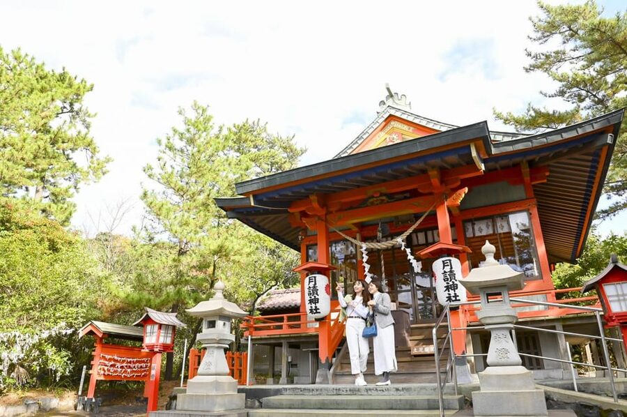Discover the Wonder of Sakurajima Half Day Tour in Kagoshima - What the guides add to the day