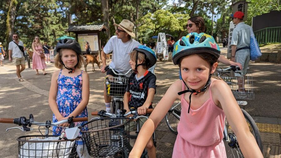 E-Bike Nara Highlights - Todaiji, Knives, Deer, Shrine - Key points at a glance
