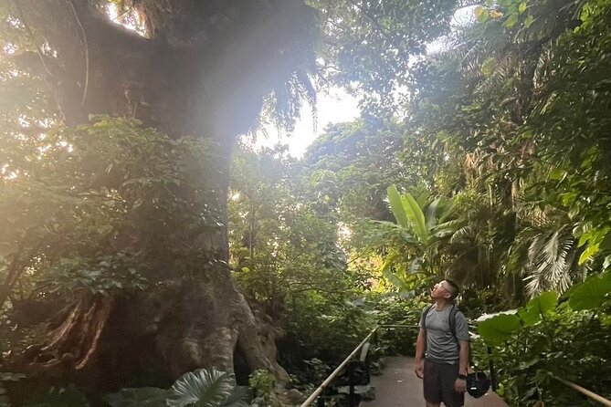 E-Bike Nature Tour in Shuri - Key points at a glance