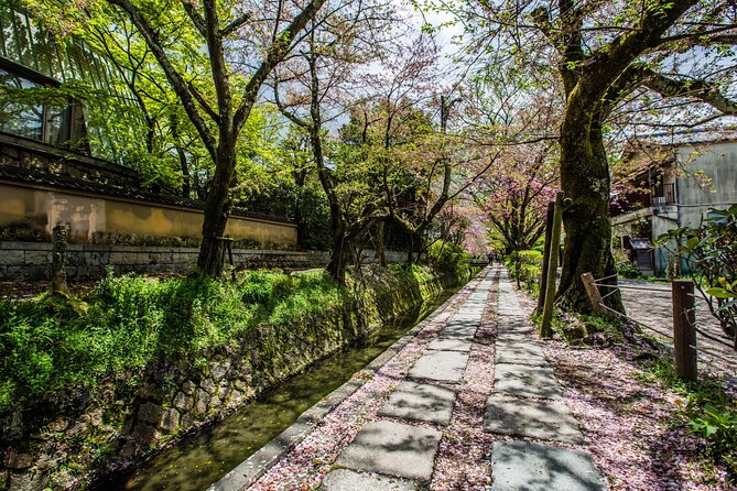 Early Bird E-biking through East Kyoto - Ginkaku-ji and lunch near the Silver Pavilion