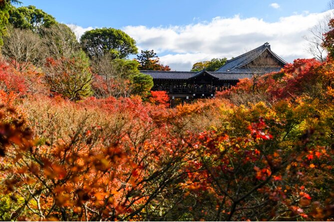 Early Bird E-biking through East Kyoto - Nanzen-ji and Heian Shrine