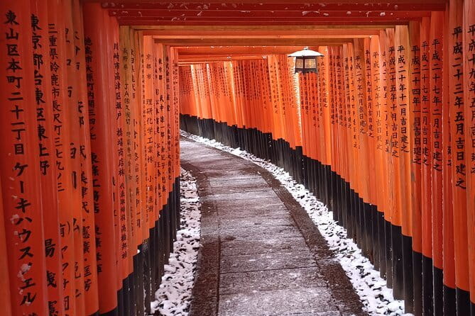Early Half Day to Kyoto Highlights - Key points to know before booking