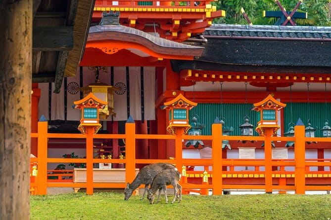 Early Half Day to Kyoto Highlights - Kinkakuji and the Golden Pavilion