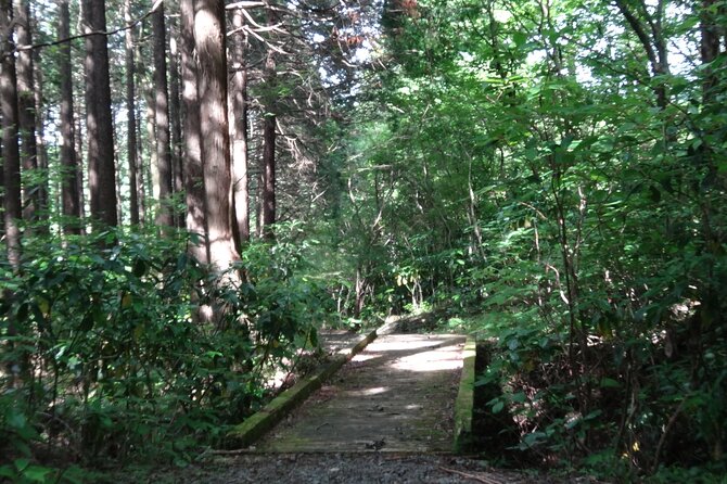 Easygoing Nature Walk in Hakone Tour - Learning the region at Hakone Visitor Center