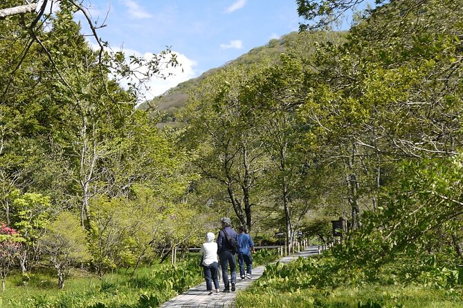 Easygoing Nature Walk in Hakone Tour - Price, timing, and what you need to bring