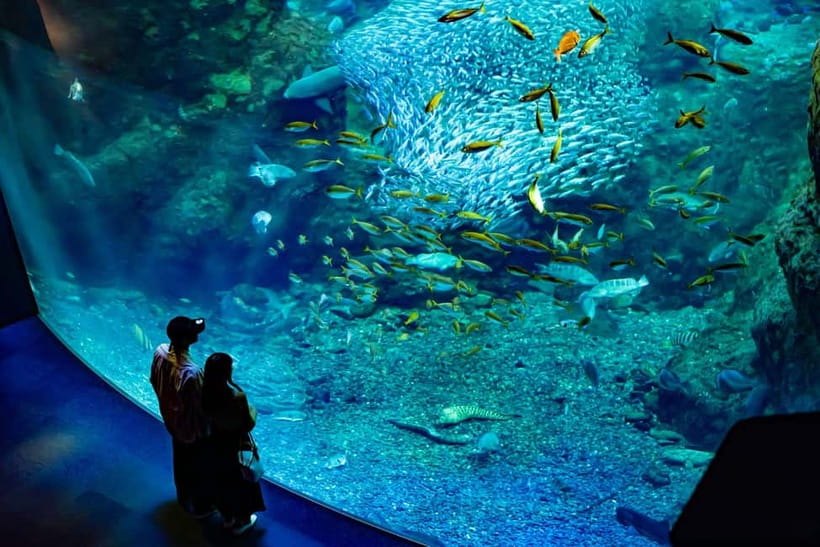 Enoshima Aquarium: Admission Ticket - Give the Jellyfish Displays Your Time