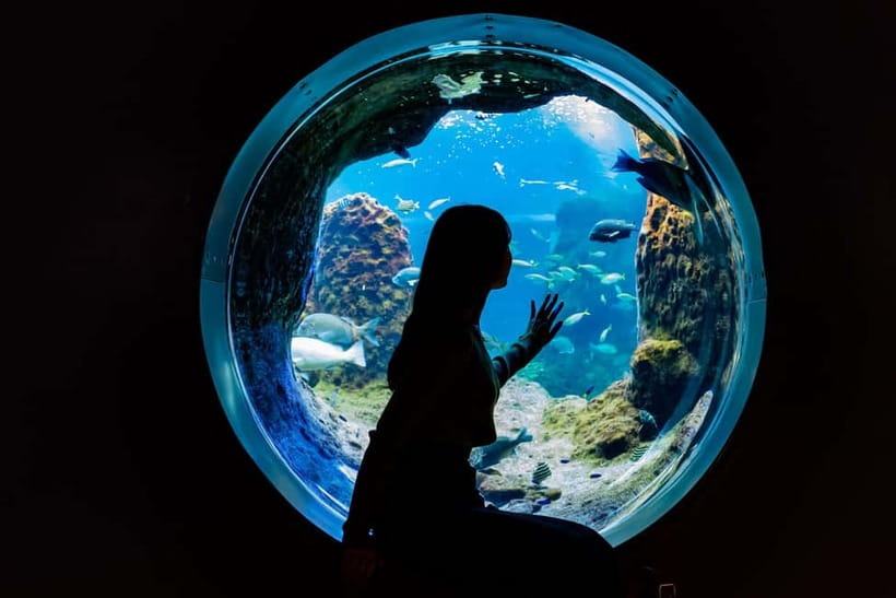 Enoshima Aquarium: Admission Ticket - Move From the Pacific to the Deep Sea