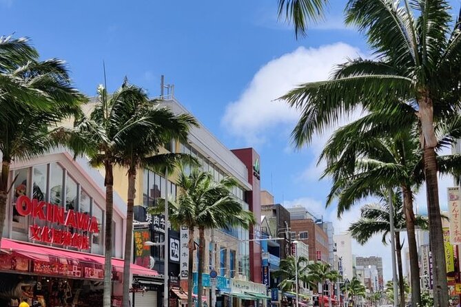 Exclusive Private Full Day Okinawa Island Tour with a Local Guide - Key points at a glance