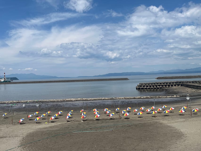 Experience the blessings of volcanoes in Kagoshima, Kyushu - The drive south from Kagoshima