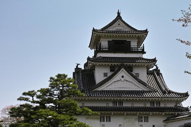 Experience the energy of Kochi: Sunday Market Tour includes Kochi Castle - Key points to know before booking