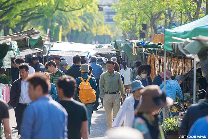 Experience the energy of Kochi: Sunday Market Tour includes Kochi Castle - Why Kochi’s Sunday Market deserves the first 100 minutes