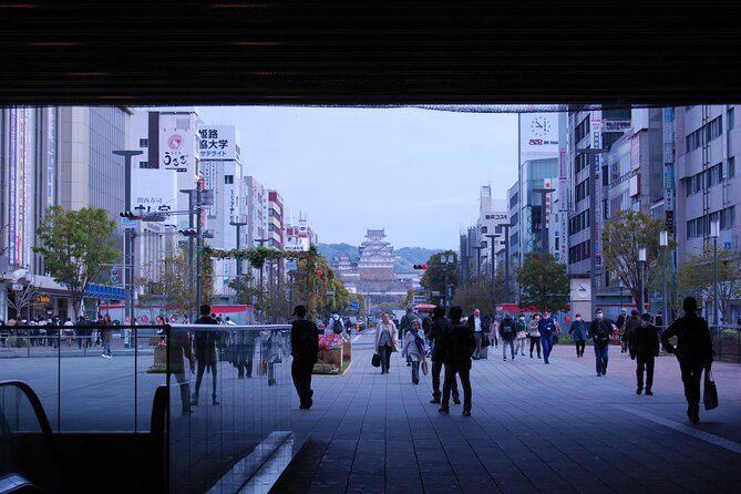 Explore Himeji Castle a Guided Walking Tour - Timing, walking, and who should book