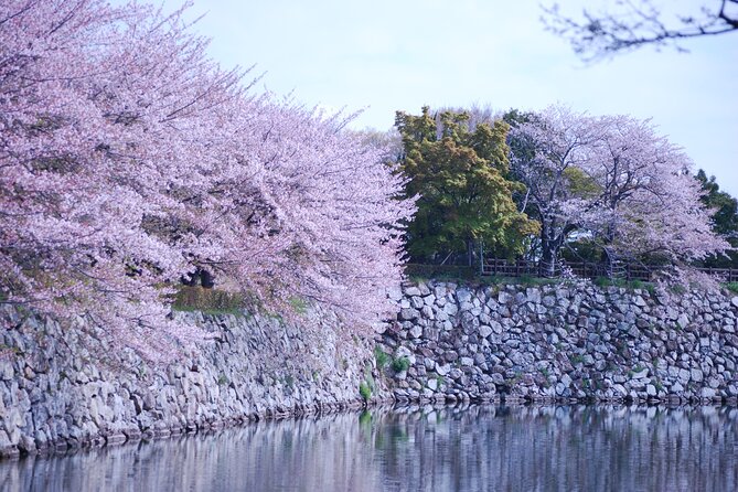 Explore Himeji Castle a Guided Walking Tour - Should you book this Himeji Castle tour?