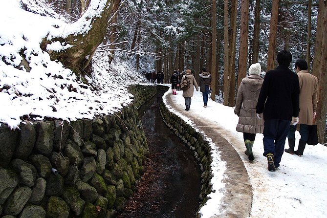 Explore Jigokudani Snow Monkey Park with a Local Guide - Who should book this small-group outing?