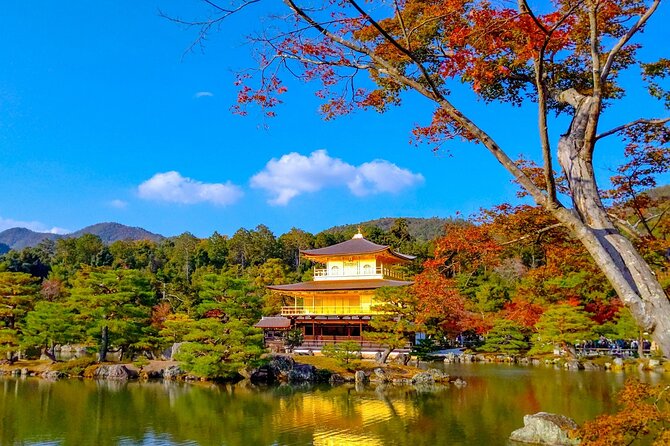 Explore Kyoto | Private Tour - Local English Driver(guide option) - Fushimi Inari and the red torii gates