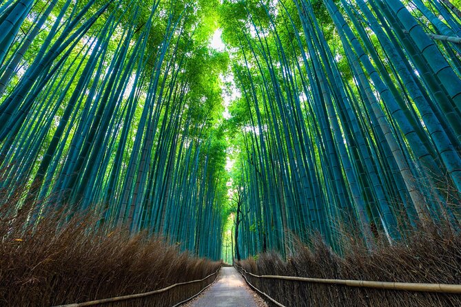 Explore Kyoto | Private Tour - Local English Driver(guide option) - The driver is the key part of the experience