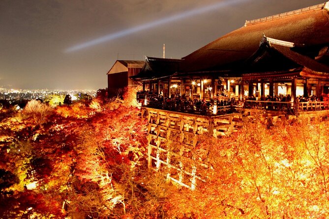 Explore Kyoto | Private Tour - Local English Driver(guide option) - Arashiyama bamboo and mountain-side scenery