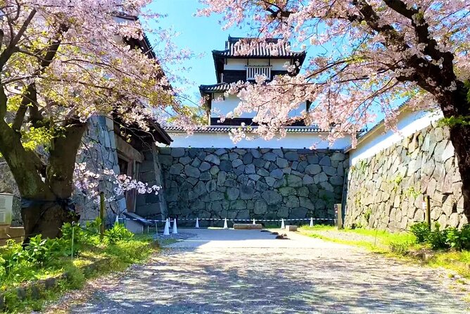 From Fukuoka Kyushu Itoshima Hidden Gems Day Tour - Guides, languages, and the shared-tour rhythm